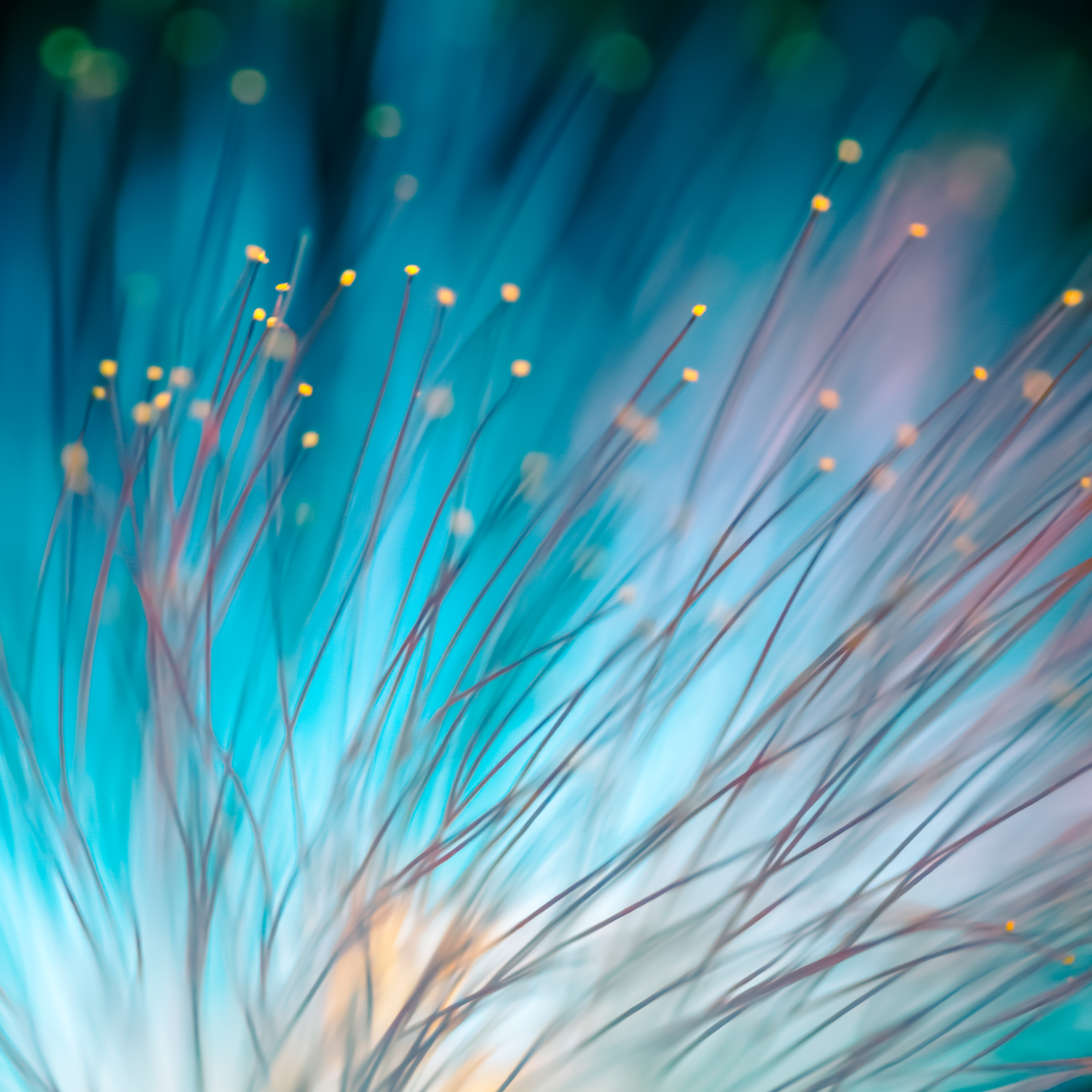 AI, Efficiency, and Client Transparency: How Law Firm CFOs Are Redefining Profitability in 2025