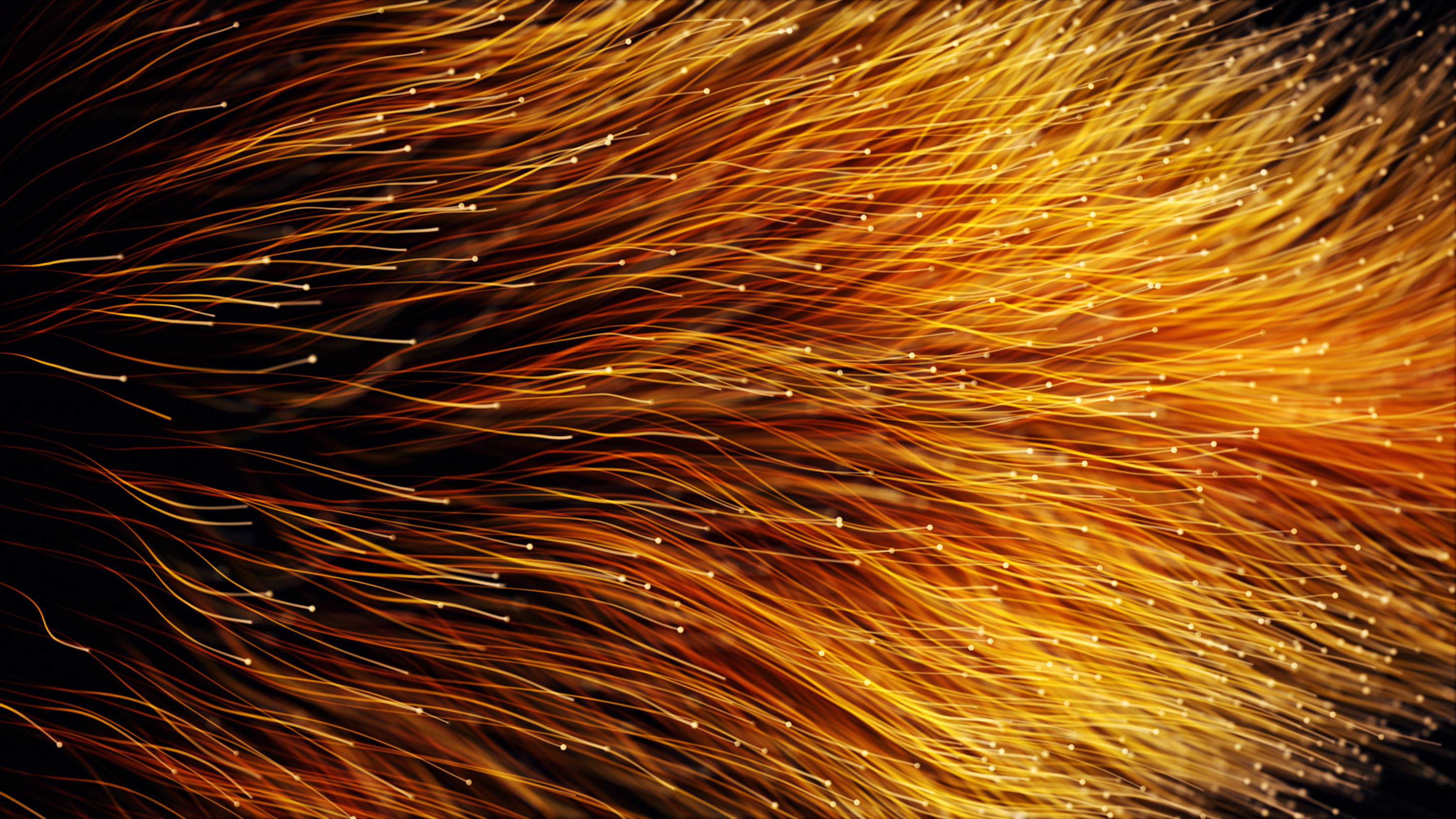 Anderson Lloyd Goes Live in the Cloud with 3E