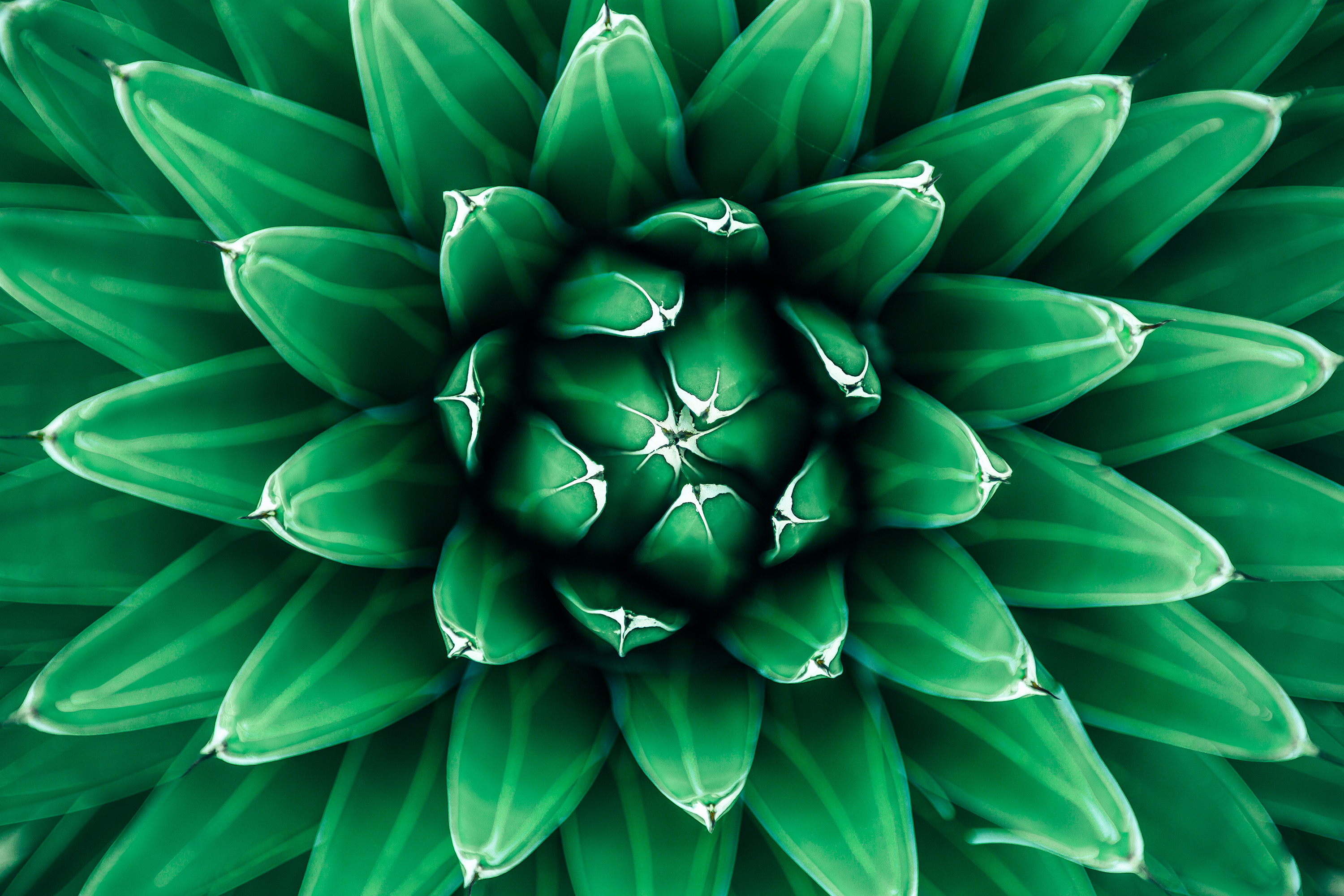 Australian Law Firm Colin Biggers & Paisley Embraces Cloud with 3E