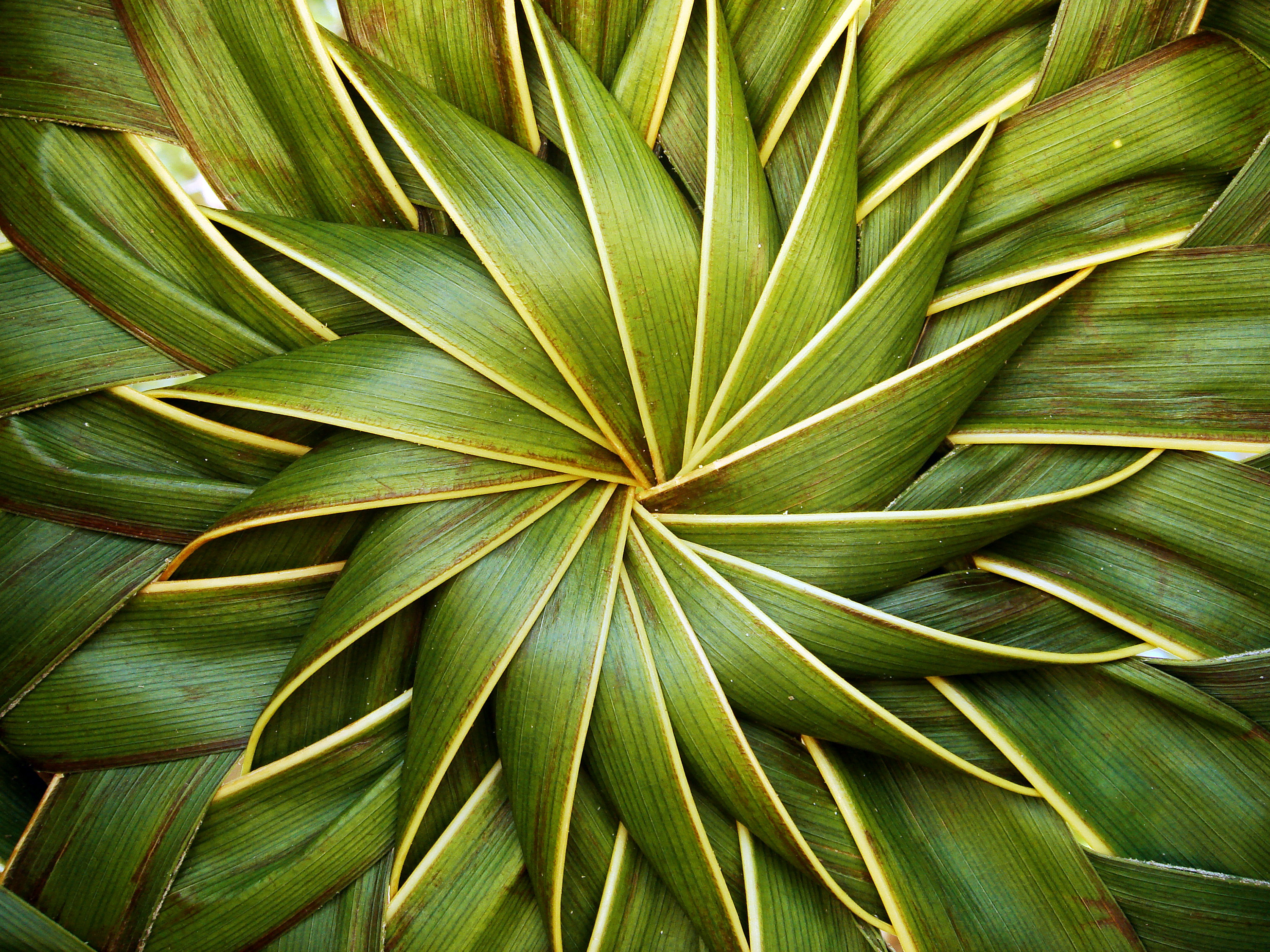 Shorten Billing Cycles and Secure Profitability