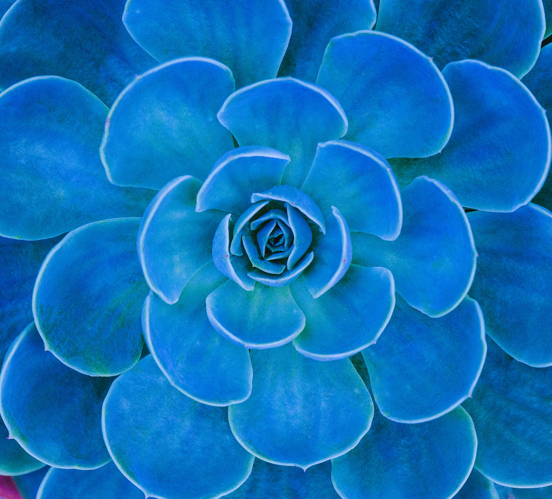 Shorten Billing Cycles and Secure Profitability