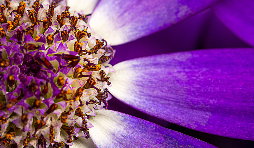 Shorten Billing Cycles and Secure Profitability