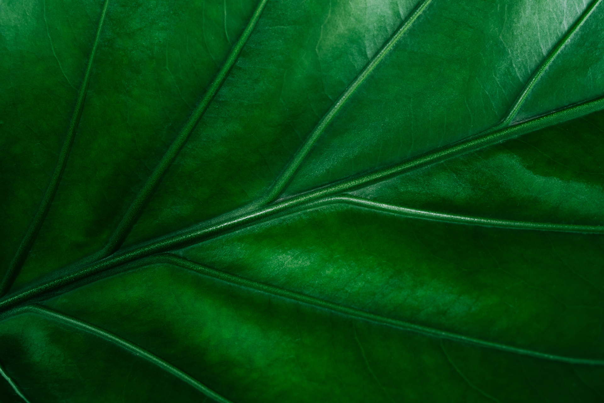 Harnessing Tech to Power Your Strategy